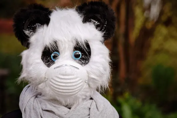 Kaszinó Mars Bet Támogatás